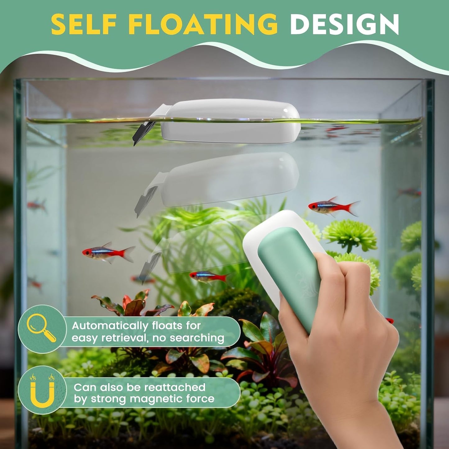AQQA small aquarium magnetic cleaner cleaning algae inside fish tank