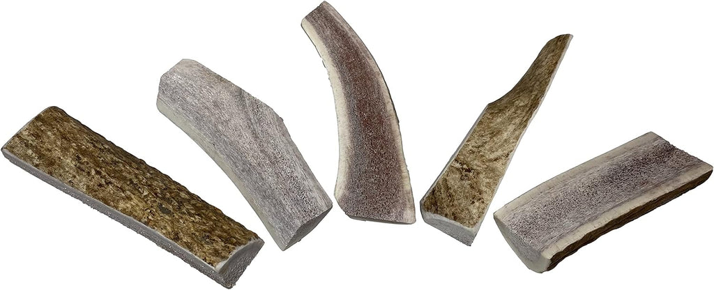 Elkhorn Premium Chews - Elk Antlers for Dogs, X Large (6-10") Split, 1 Pack, All Natural Dog Chew for X Large Dogs, Premium Naturally Shed Antler Bone for Aggressive Chewers, Sourced in the USA - Image 11