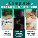 Artullano dog calming treats container side view