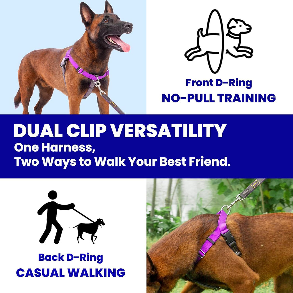 Top view of Apdexy purple harness with instructional tags