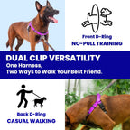 Top view of Apdexy purple harness with instructional tags