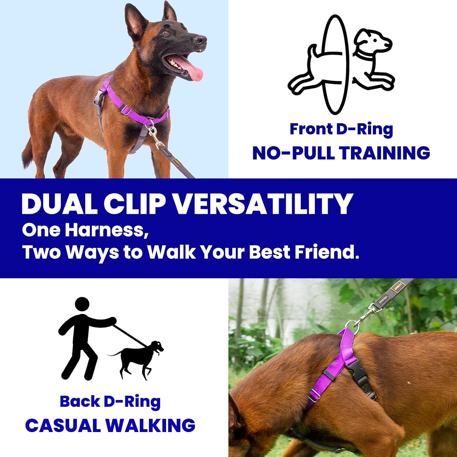 Top view of Apdexy purple harness with instructional tags
