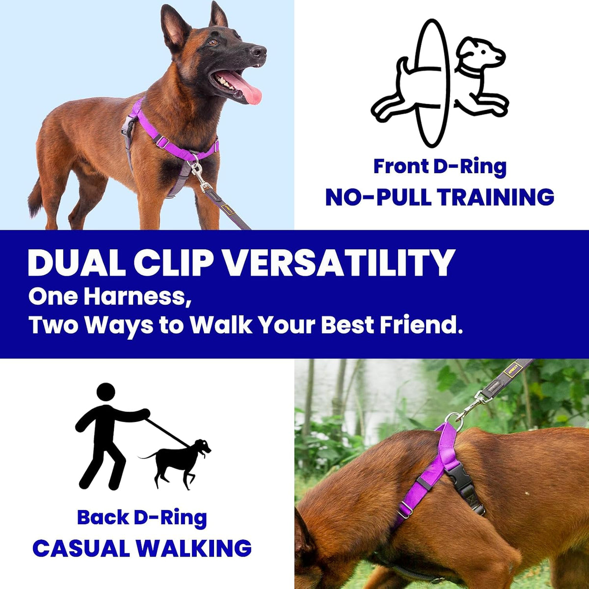 Top view of Apdexy purple harness with instructional tags