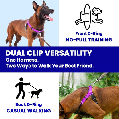 Top view of Apdexy purple harness with instructional tags