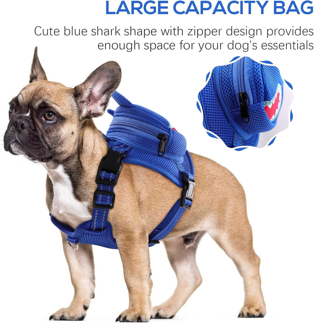 Small dog wearing blue shark backpack harness on walk
