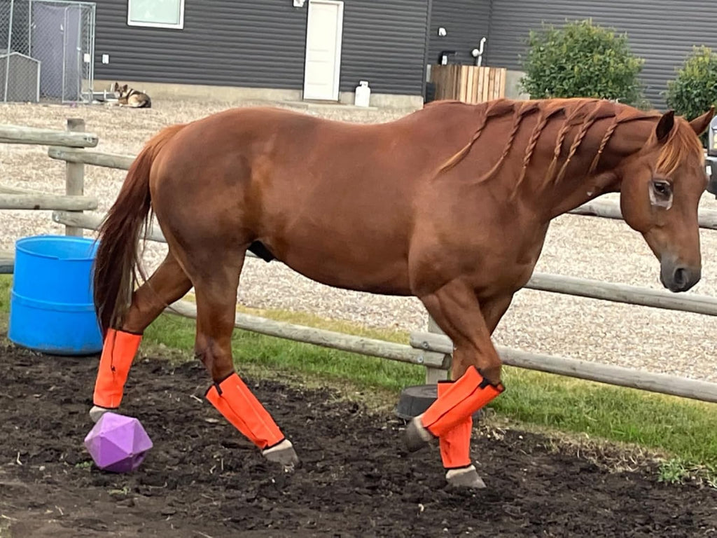 NizHome flexible plastic mesh horse leggings package for pasture use