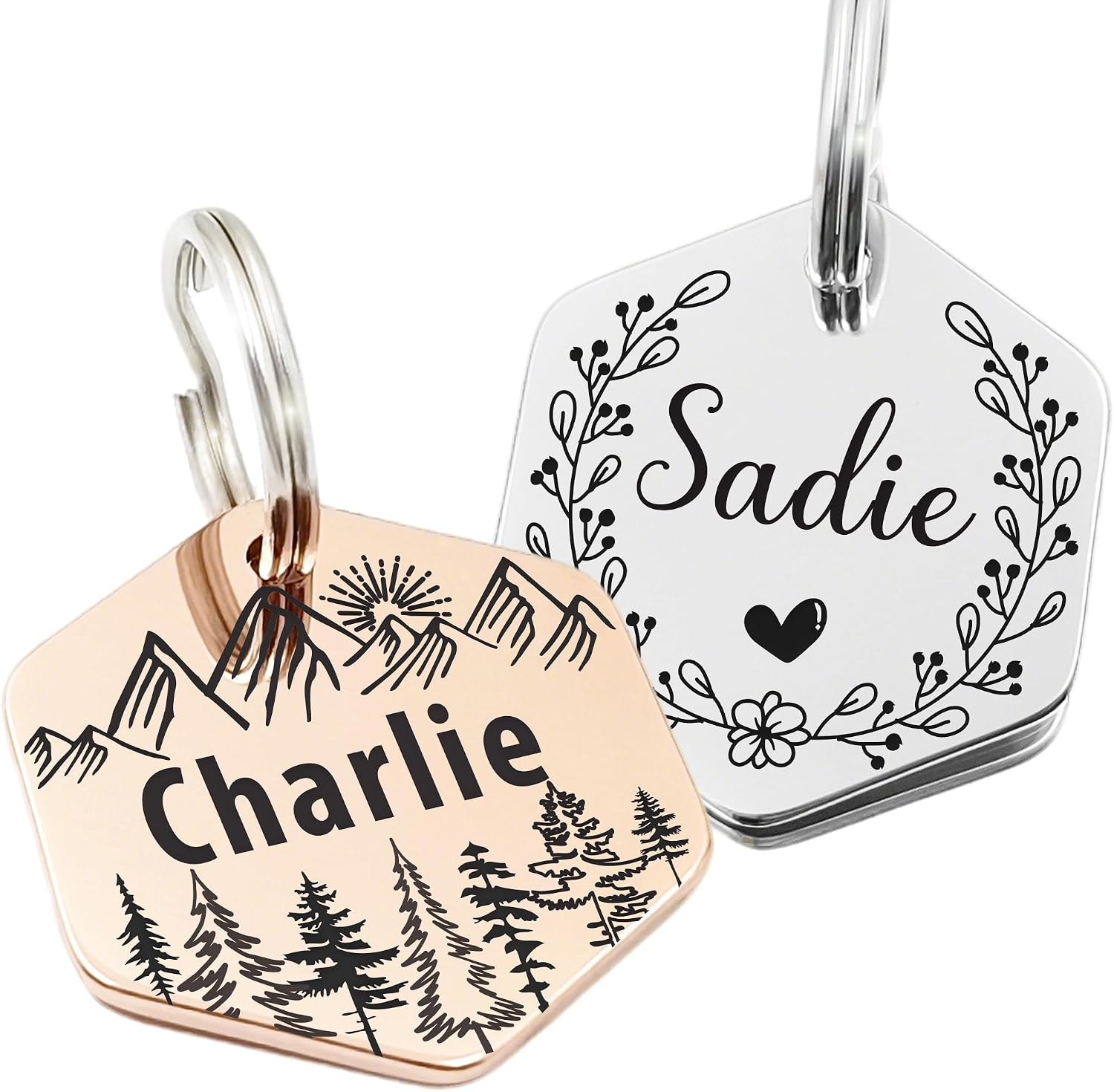USA imported premium HAVEATAG custom pet ID tag attached to a collar.