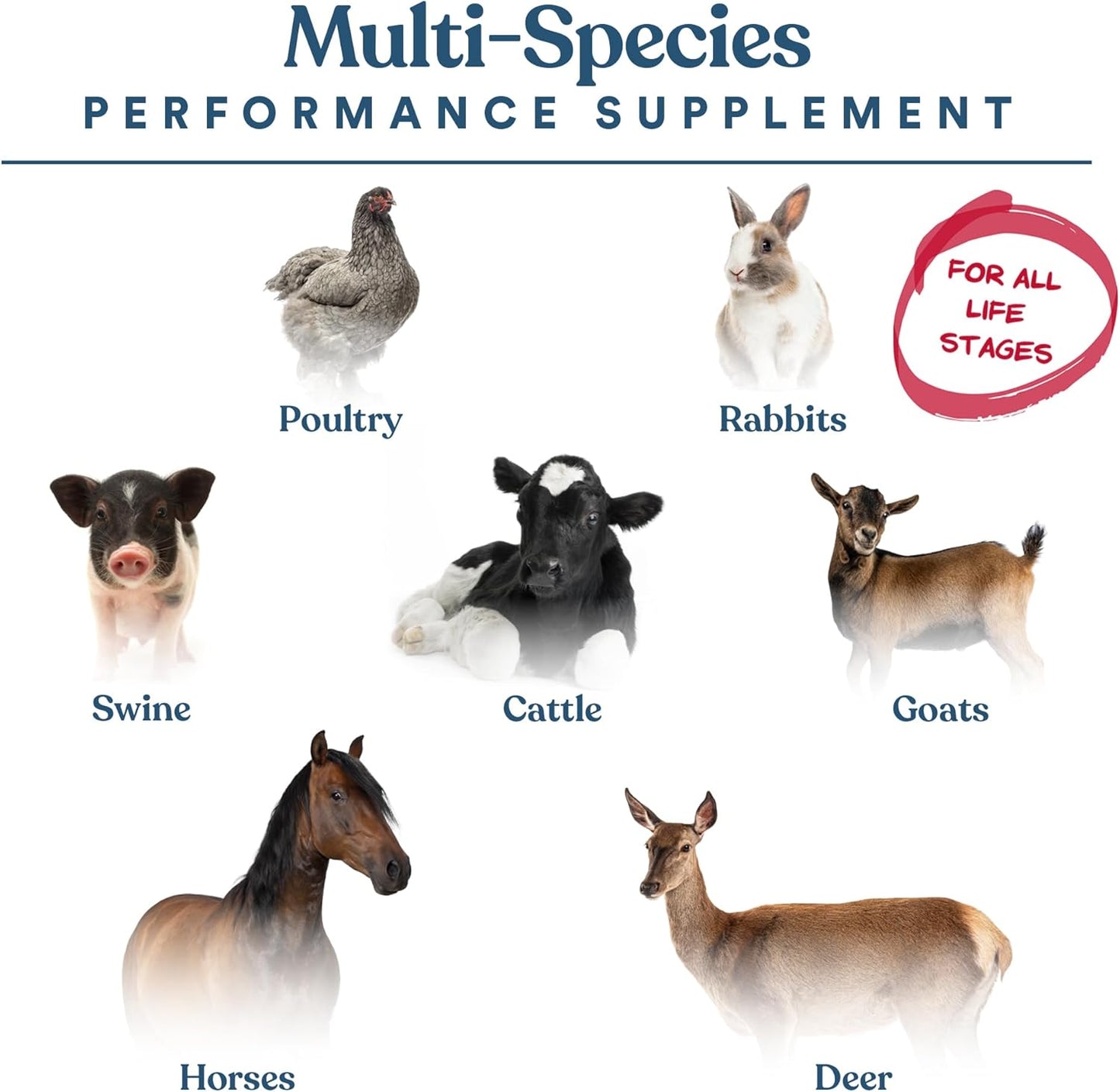 Close up view of Manna Pro animal feed additive showing guaranteed analysis and nutrition facts label