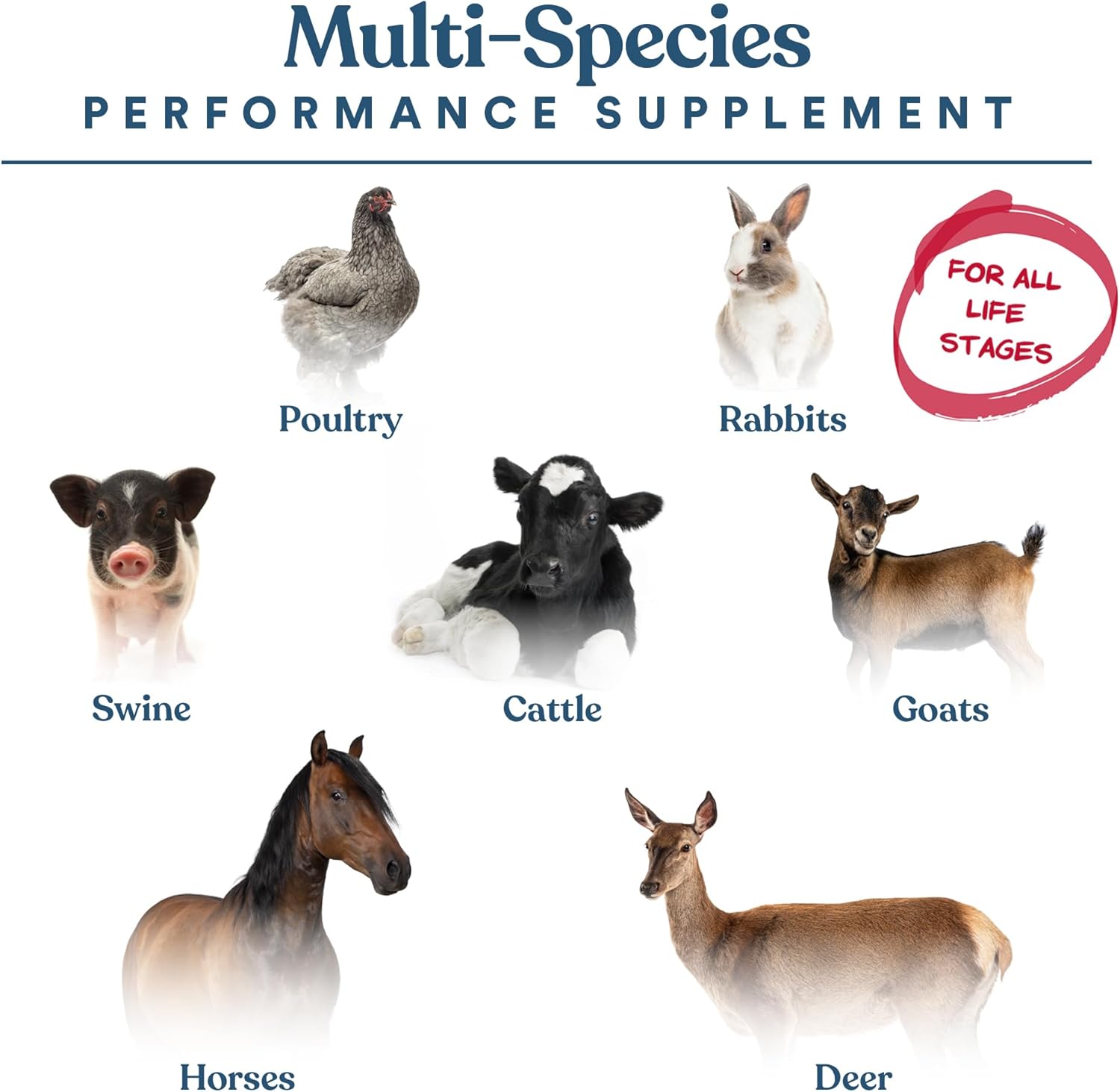 Close up view of Manna Pro animal feed additive showing guaranteed analysis and nutrition facts label