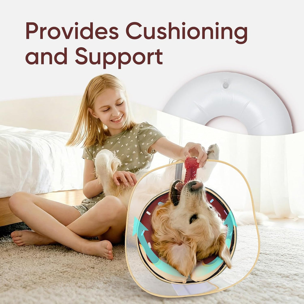 Supet soft dog recovery collar with the removable transparent anti-licking shield attached.