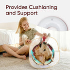 Supet soft dog recovery collar with the removable transparent anti-licking shield attached.