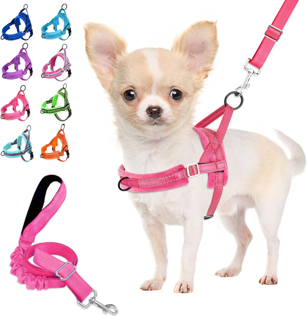 Lukovee No Pull Dog Harness and Leash Set, Soft Padded Small Dog Harness, Neck & Chest Adjustable Reflective Vest Puppy Harness with 4ft Lightweight Anti-Twist Dog Leash for Small Dogs (XS, Blue) - Image 14