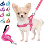 Lukovee No Pull Dog Harness and Leash Set, Soft Padded Small Dog Harness, Neck & Chest Adjustable Reflective Vest Puppy Harness with 4ft Lightweight Anti-Twist Dog Leash for Small Dogs (XS, Blue) - Image 14