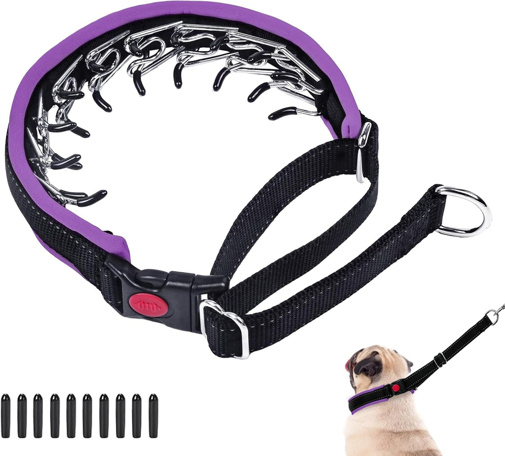Monstoyo martingale no pull dog collar purple medium front view