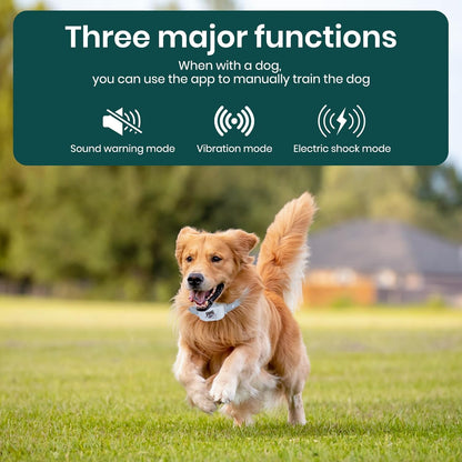PetSafe wireless dog fence packaging showing included accessories and setup guide
