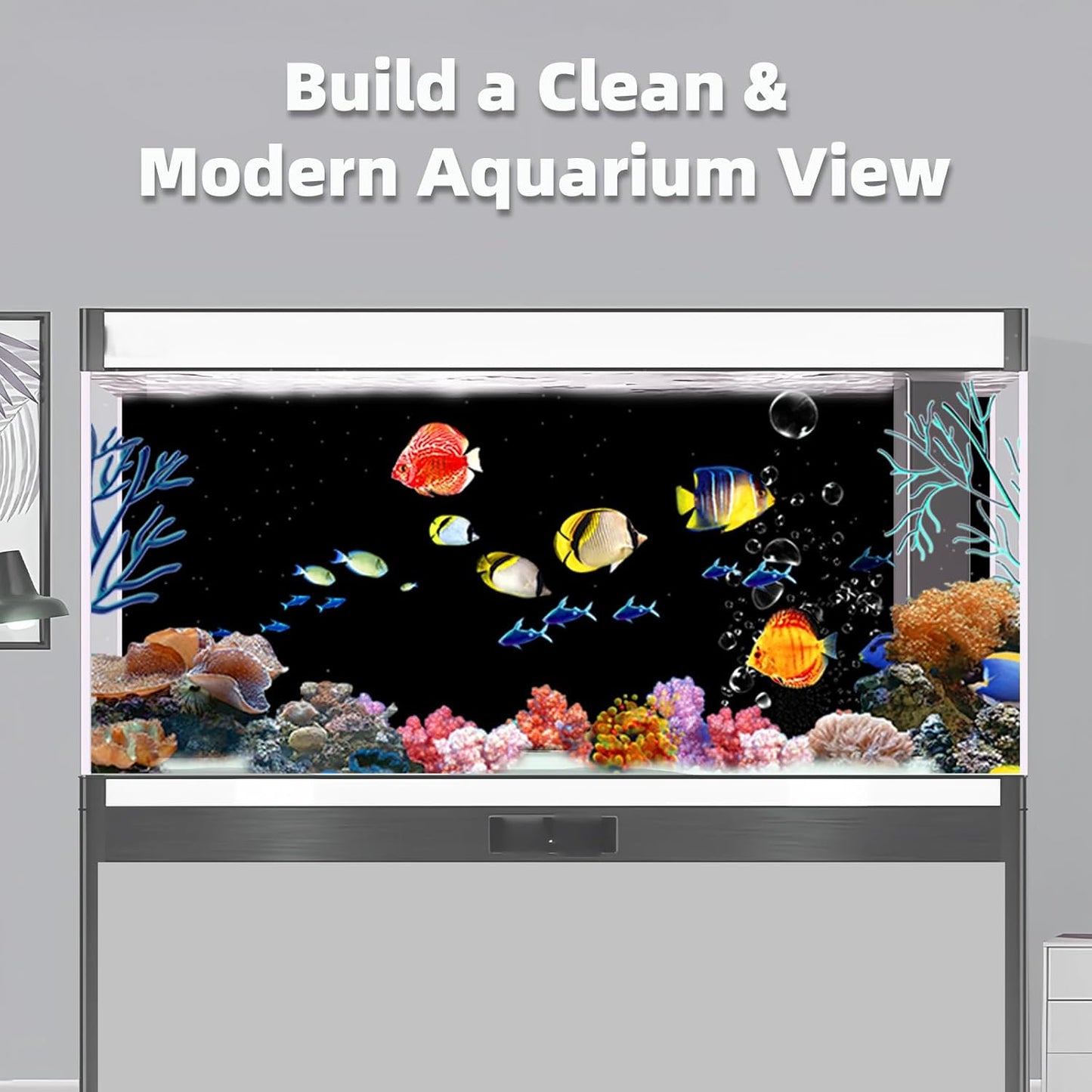 AWERT ocean reef fish tank background applied to a glass aquarium