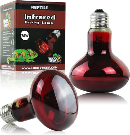 LUCKY HERP Intense Heat Lamp Bulbs for Reptiles 100W 2 Pack, UVA Daylight Reptile Heat Lamp, Reptile Basking Heat Light Bulb for Amphibian, Tortoise, Bearded Dragon, Lizard, Turtle, Snake Heating Use - Image 12