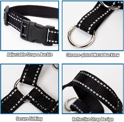 Wintchuk reflective dog head collar worn by dog outdoors