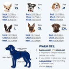 KOESON abdominal wound protection bodysuit on a spayed female dog