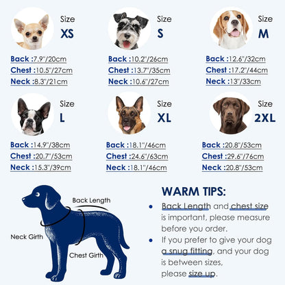 KOESON abdominal wound protection bodysuit on a spayed female dog