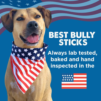 Best Bully Sticks high protein thick dental chews for aggressive chewers