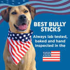 Best Bully Sticks 3 count pack retail packaging