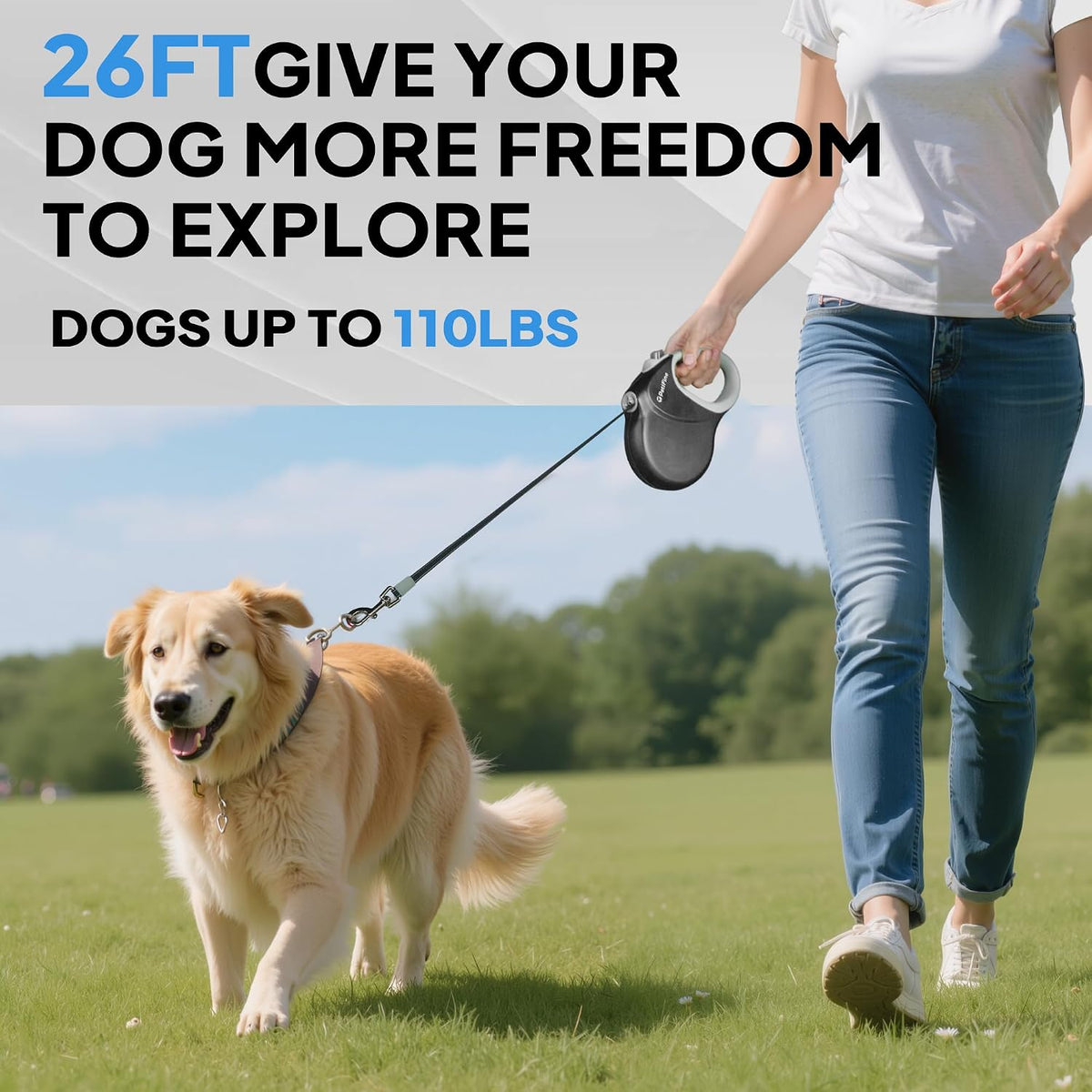 PetiFine anti-twist dog leash side profile
