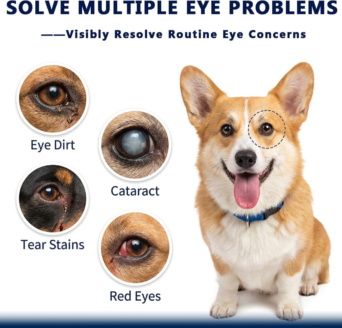 Soothing dog eye wash for itching and dry eyes