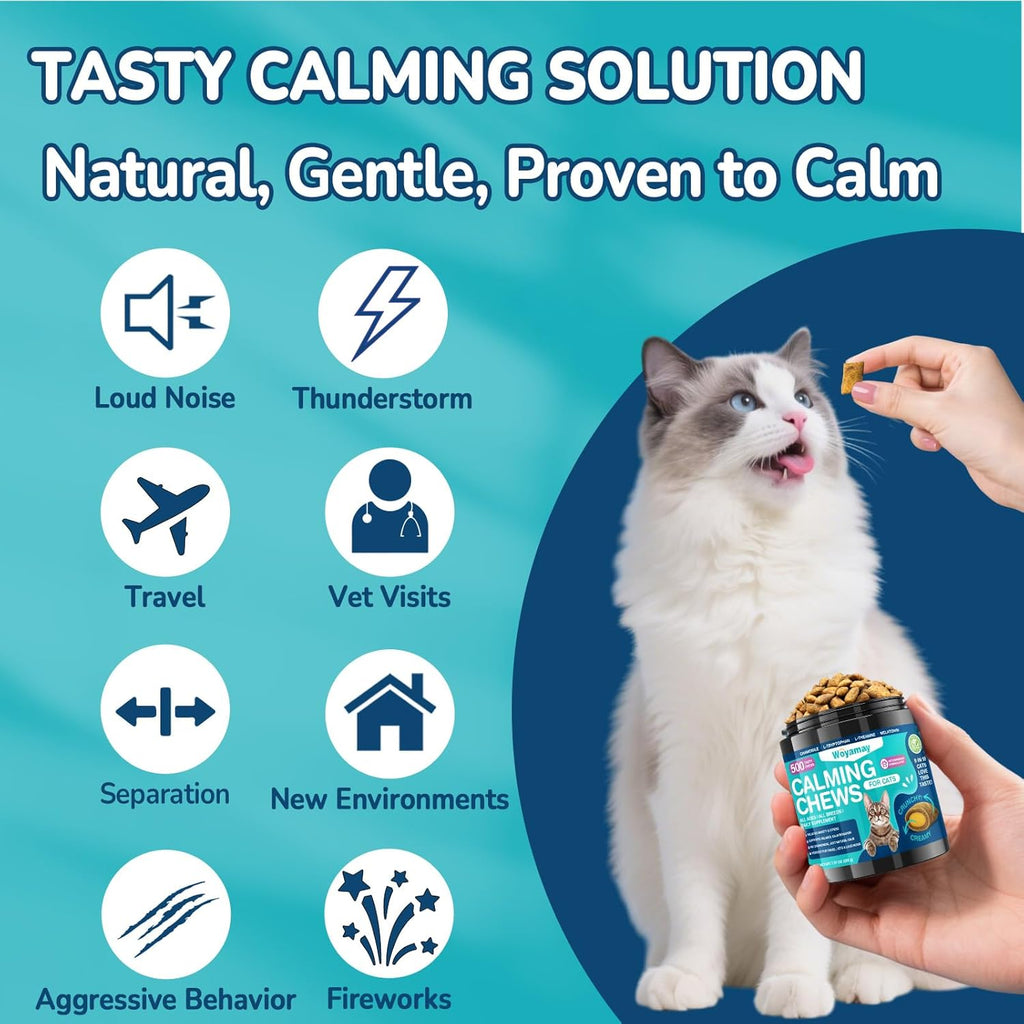 Close up of Woyamay chicken flavor calming chews for cats