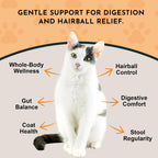 Organic marshmallow root extract hairball remedy packaging details and product size.