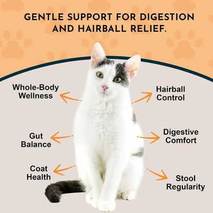Back label of Animal Essentials Hairball Relief displaying ingredients and pet dosage chart
