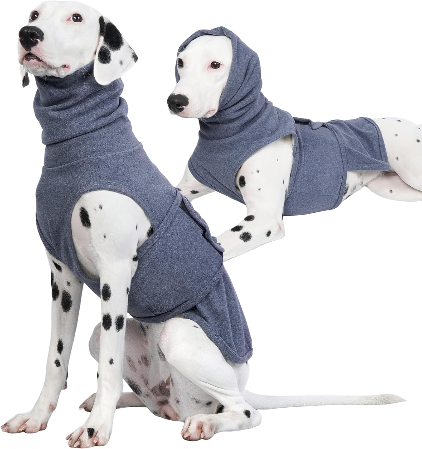 ROZKITCH Dog Anxiety Jacket front view on a large blue dog calming vest