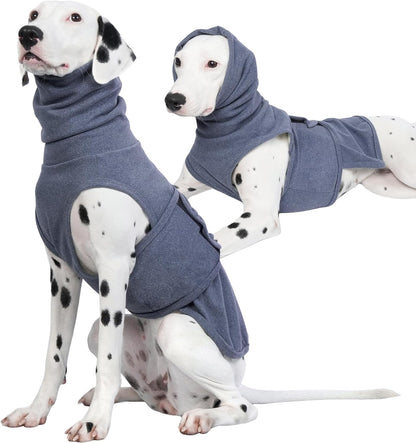 ROZKITCH Dog Anxiety Jacket front view on a large blue dog calming vest
