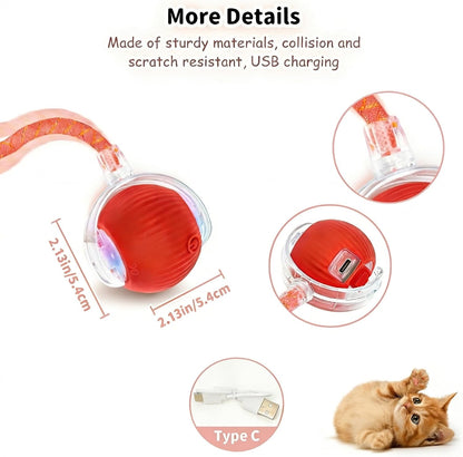 Egitew cat toy with replaceable worm and dragonfly accessories