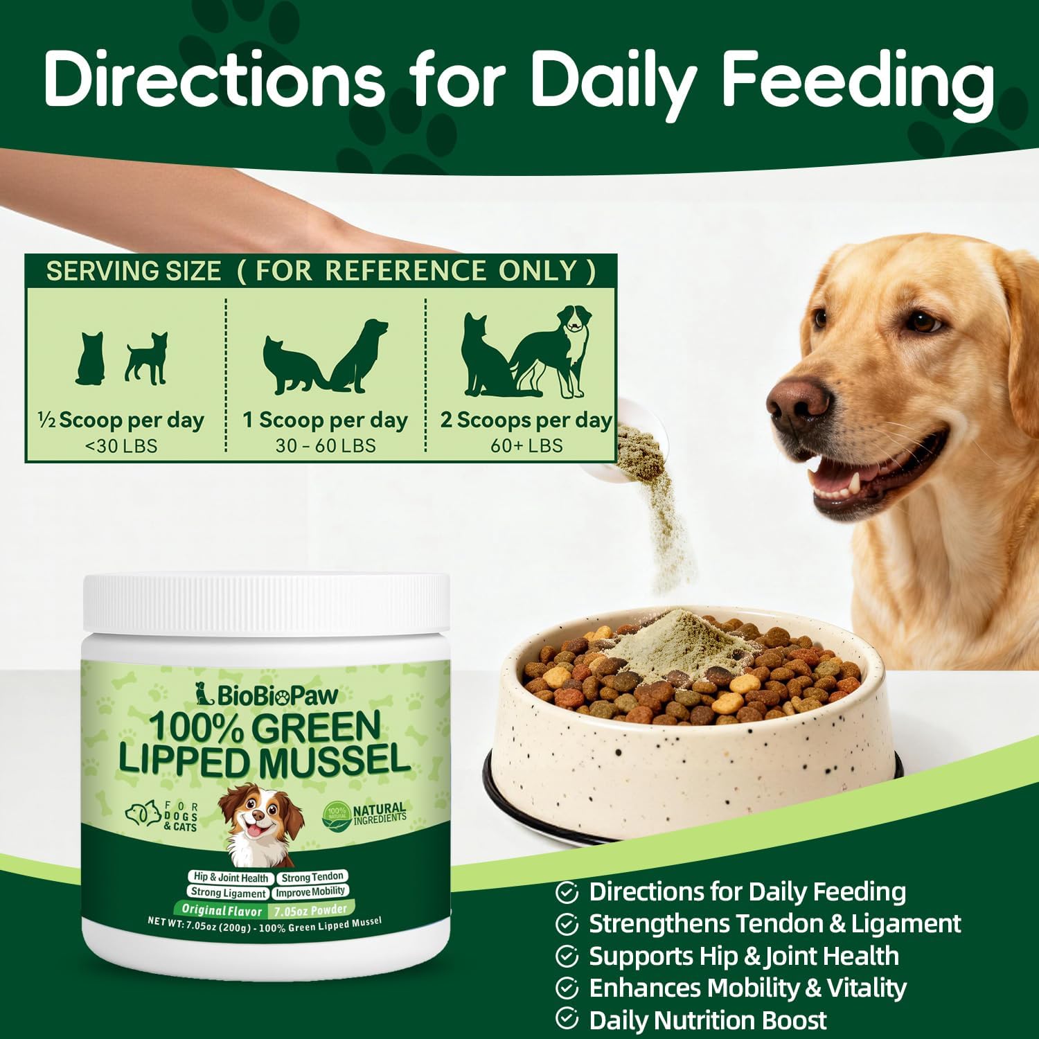 Daybreak Nutrition authentic green lipped mussel powder product safety seal and packaging top view