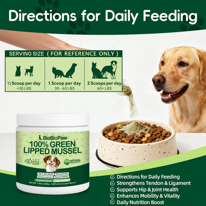 Daybreak Nutrition authentic green lipped mussel powder product safety seal and packaging top view