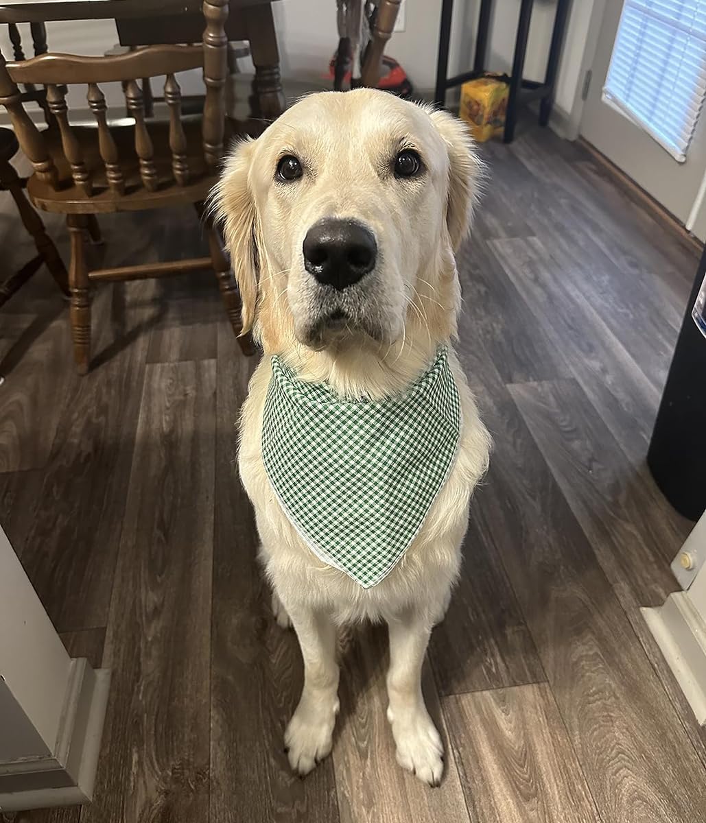 Lionet Paws premium cotton triangle kerchief scarf for small dogs