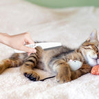 Pet grooming comb held in hand for size reference