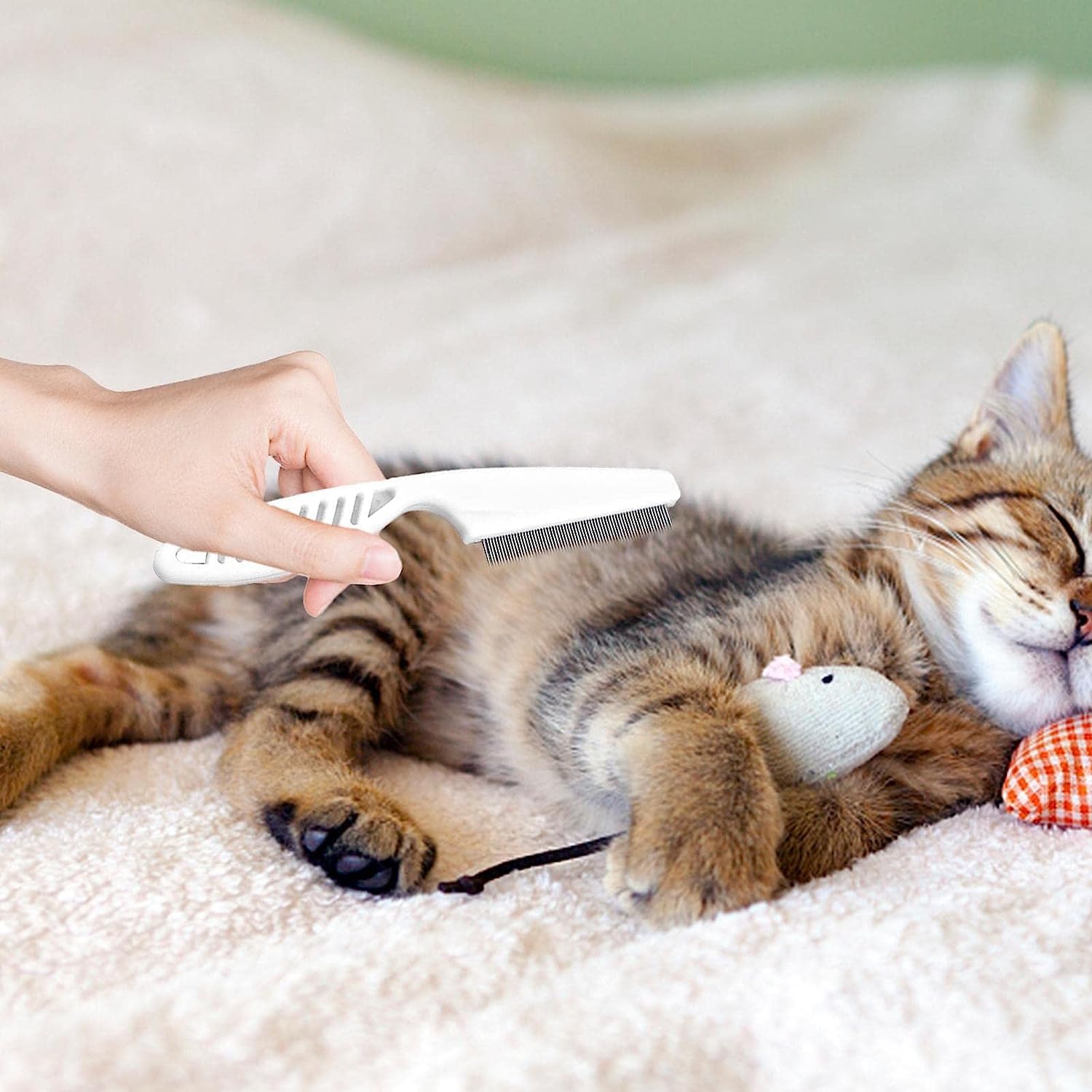 Pet grooming comb held in hand for size reference