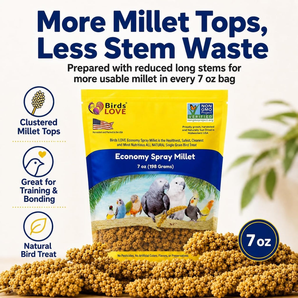 Birds LOVE economy spray millet full set display