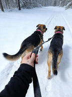 Luminous reflective stitching detail highlighted on the black dual dog walking lead.