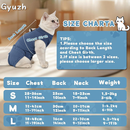 Cat wearing Gyuzh blue recovery suit showing snap closure