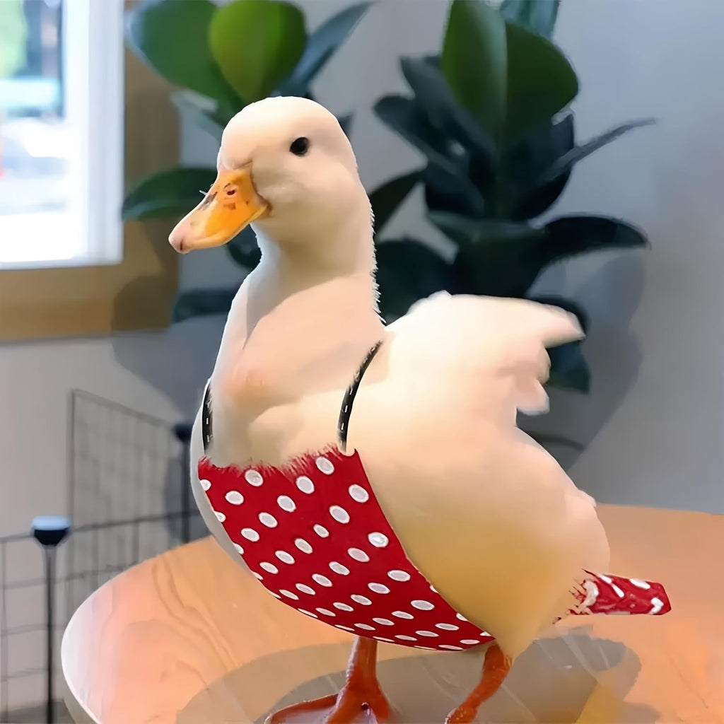 2 Pack Chicken Diapers for Hens, Roosters, Diapers for Ducks, Ducklings, Reusable Pet Diaper with Bow Ties Waterproof Poultry Nappies for Geese Pet Ducks,Red Polka Dots&Banana,L - Image 4