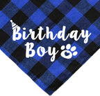 Gold foil meow letter balloons and pet birthday banner