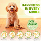 ZENO natural oral dosage pest control soft chews for dogs close up shot.