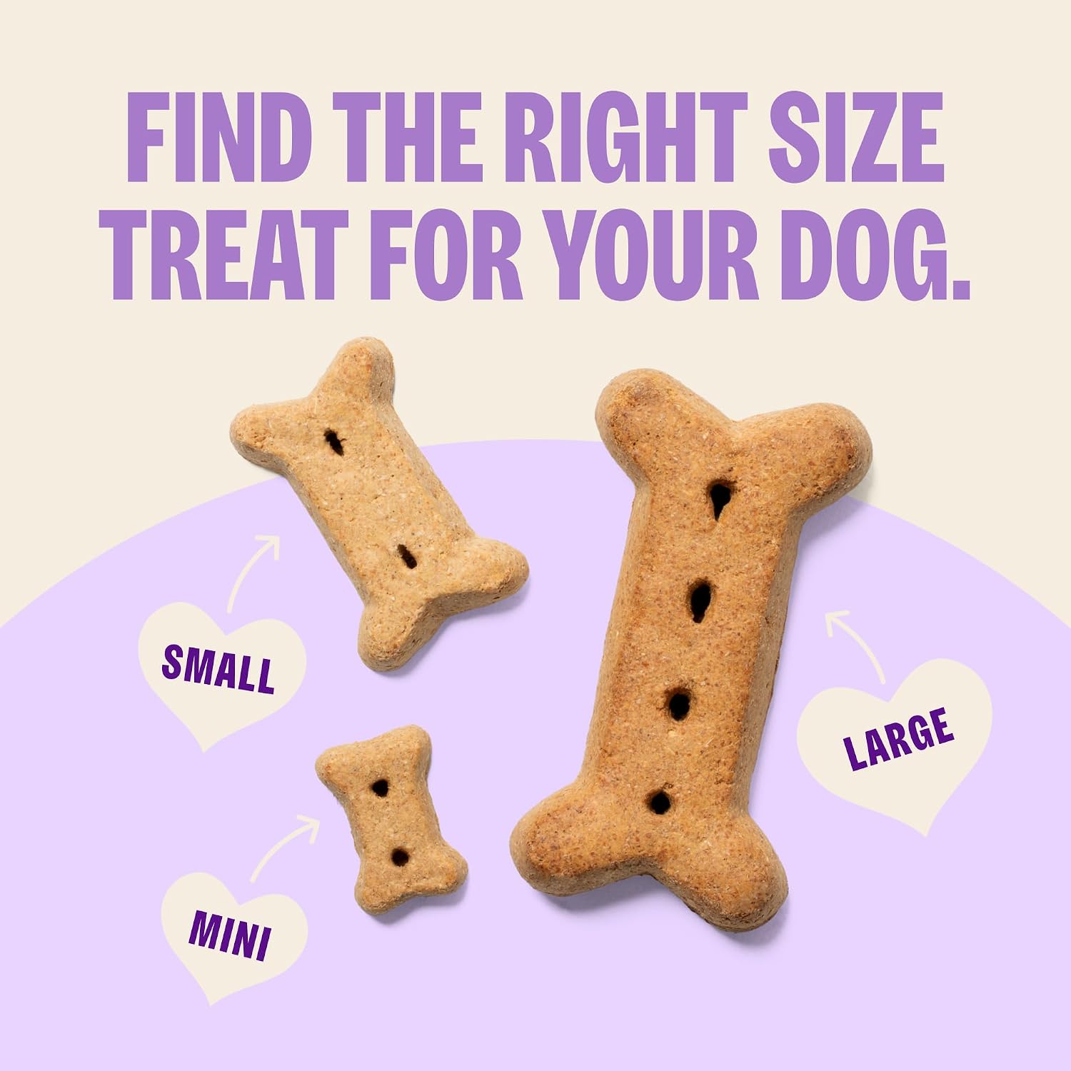 Close up of mini sized natural dog treats highlighting the crunchy homestyle oven baked texture.