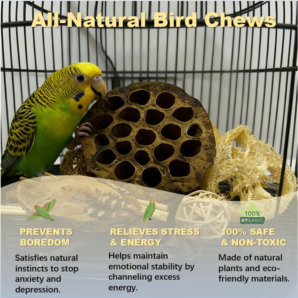 Top down view of 10 natural ingredients in PINEPOP toy box.