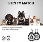 ILFINDYOU smart pet name tag being scanned by a smartphone camera to display the online profile.