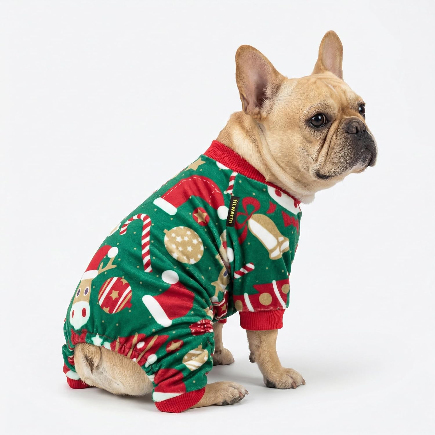 Small dog wearing red and green velvet Christmas pet onesie