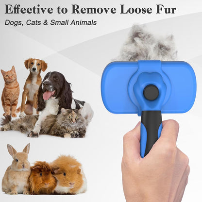 Swihauk blue slicker brush clearing loose fur from a golden retriever.